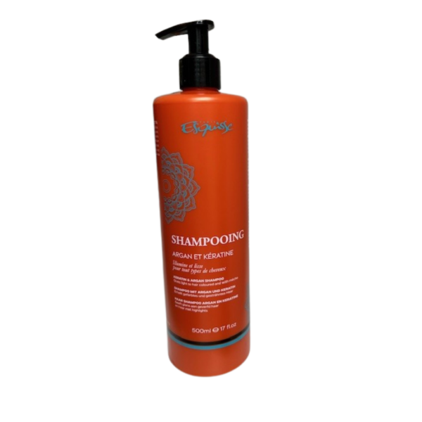 Esquisse Shampoing Argan et Kératine 500ml